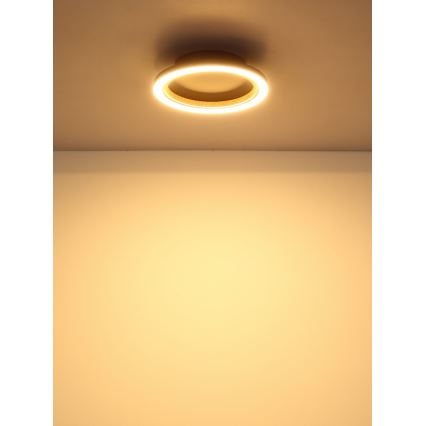 Globo - Plafonnier LED 12 W 230 V 3000 K Ø 20,5 cm