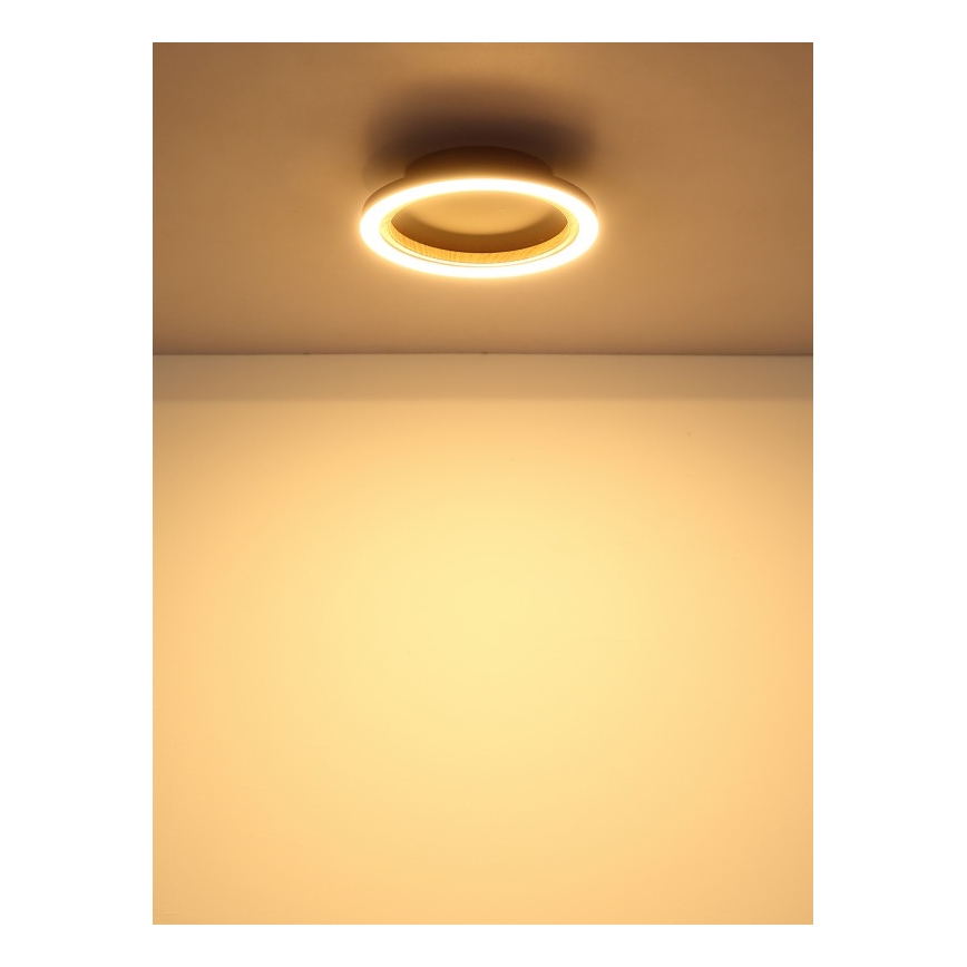 Globo - Plafonnier LED 12 W 230 V 3000 K Ø 20,5 cm