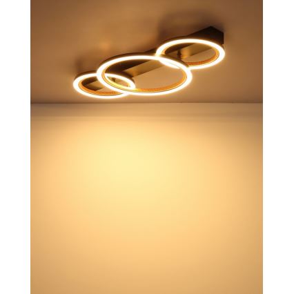 Globo - LED Plafondlamp LED/40W/230V 3000K 58x30 cm
