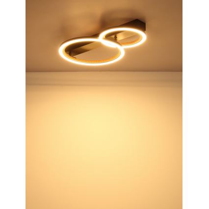 Globo - Plafonnier LED 30W/230V 3000K 44x30 cm