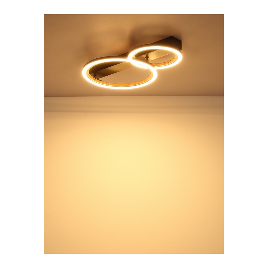 Globo - Plafonnier LED 30W/230V 3000K 44x30 cm