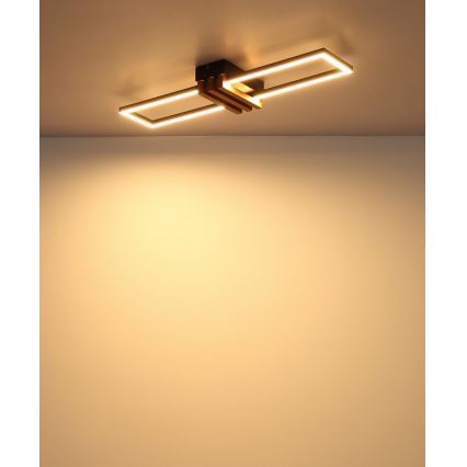 Globo - Plafonnier LED/20W/230V 3000K 60x16,8 cm