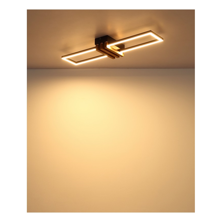 Globo - Plafonnier LED/20W/230V 3000K 60x16,8 cm