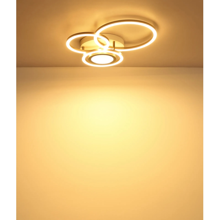 Globo - LED plafondlamp LED/40W/230V 3000K 49x39 cm