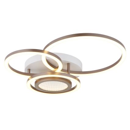 Globo - LED plafondlamp LED/40W/230V 3000K 49x39 cm