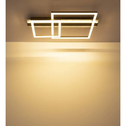 Globo - LED plafondlamp LED/30W/230V 3000K 33x56 cm