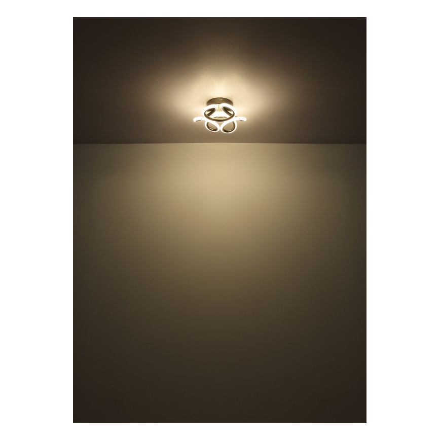 Globo - LED Plafondlamp LED/24W/230V 2700/4000/6000K Ø 26 cm zwart