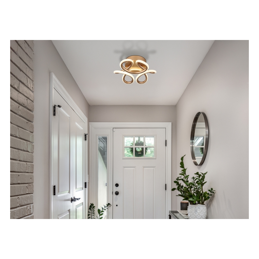 Globo - LED Plafondlamp LED/24W/230V 2700/4000/6000K Ø 26 cm goudkleurig