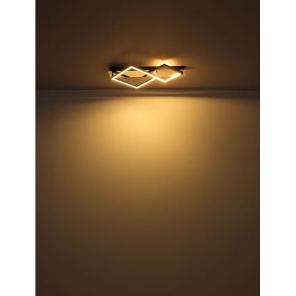 Globo - Plafonnier LED/24W/230V 3000K
