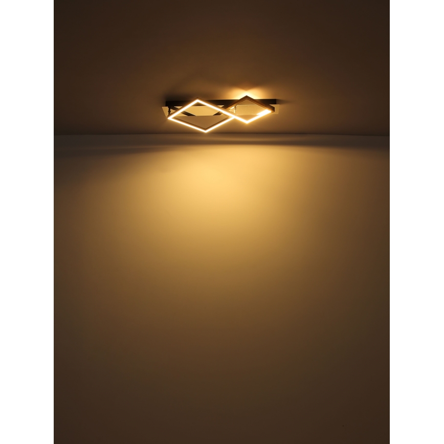 Globo - Plafonnier LED/24W/230V 3000K