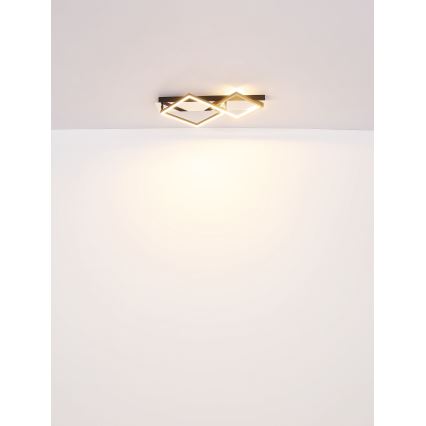 Globo - Plafonnier LED/24W/230V 3000K