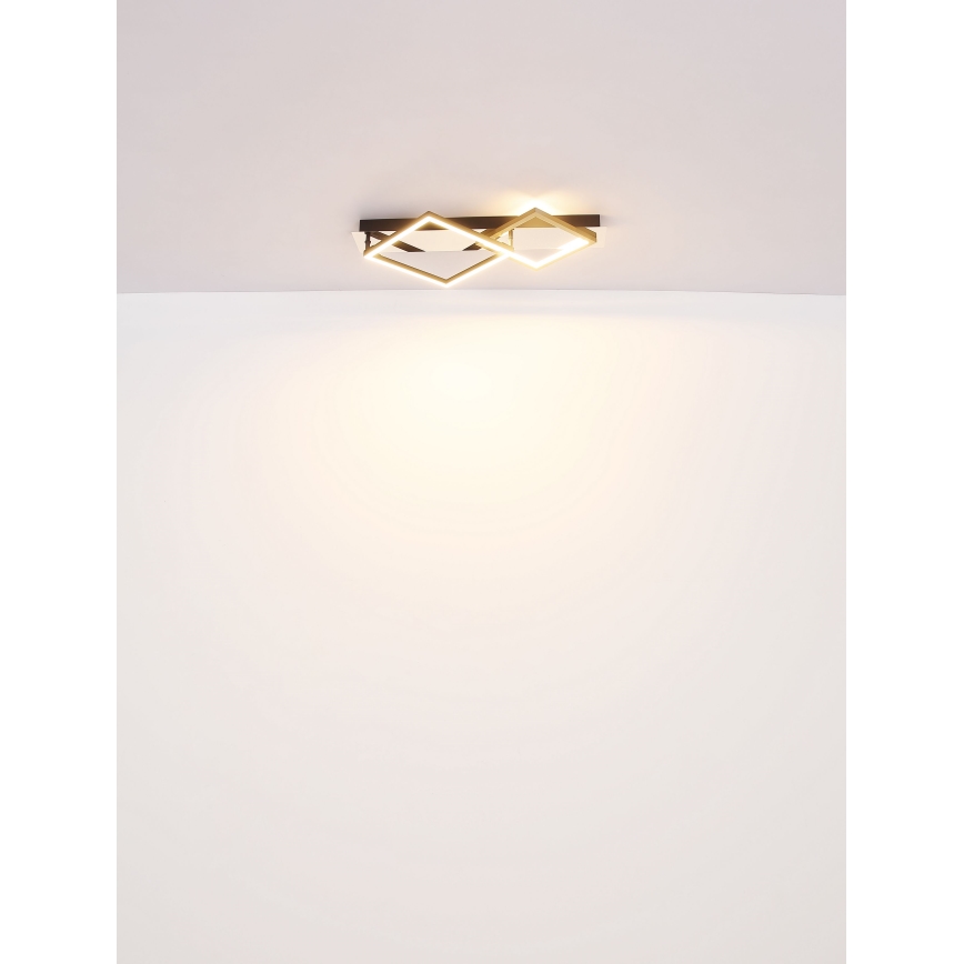 Globo - Plafonnier LED/24W/230V 3000K