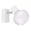 Globo - Applique murale spot 1xE14/40W/230V blanche