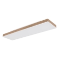 Globo - Dimbare LED-plafondlamp LED/24W/230V 2700-6500K 20x80 cm + afstandsbediening