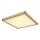 Globo - Dimbare LED plafondlamp LED/36W/230V 3000K 60x60 cm