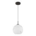 Globo - Hanglamp met kabel 1xE27/60W/230V diam. 25 cm