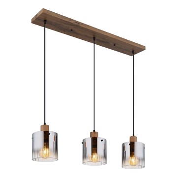 Globo - Hanglamp met kabel 3xE27/60W/230V