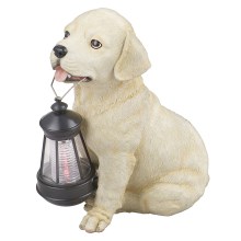 Globo - Lampe solaire LED/0,06W/3V chien IP44