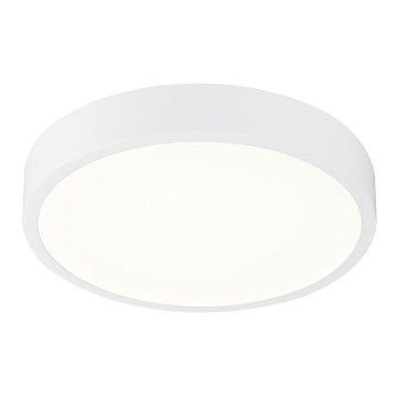 Globo - LED Badkamer plafondlamp dimbaar LED/22W/230V IP44