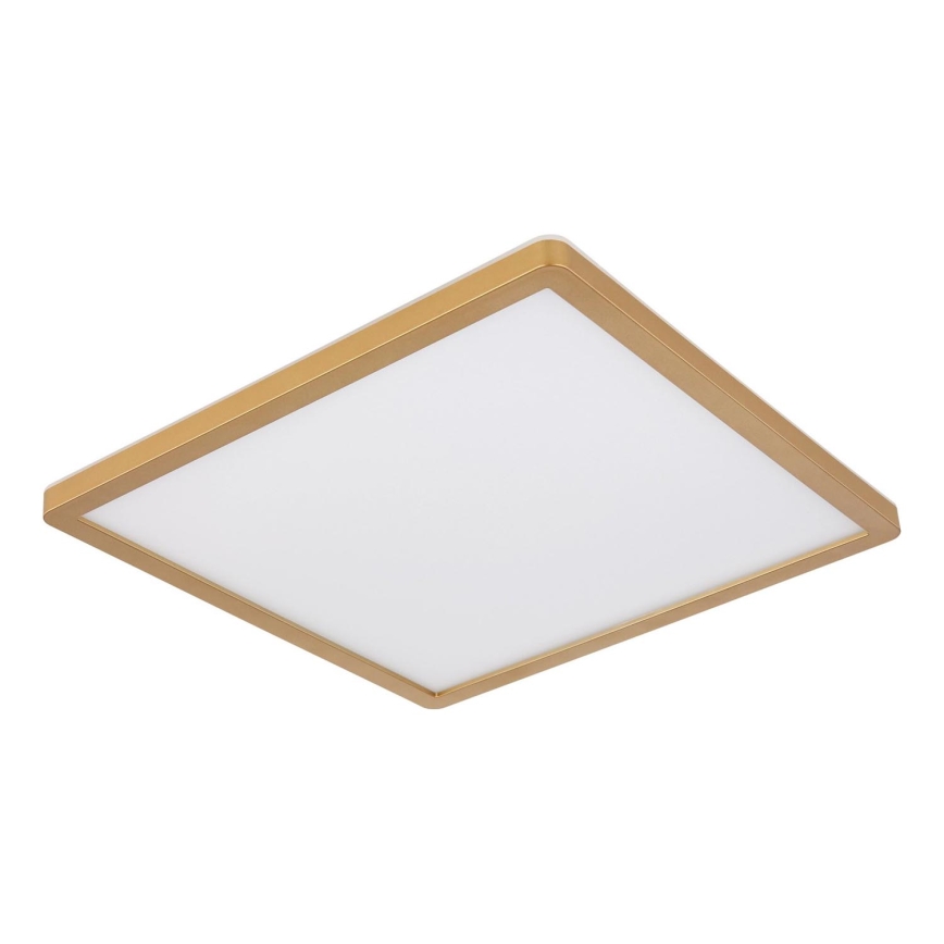 Globo - LED Dimbare badkamer plafondverlichting LED/24W/230V 3000K IP44 42x42 cm messing