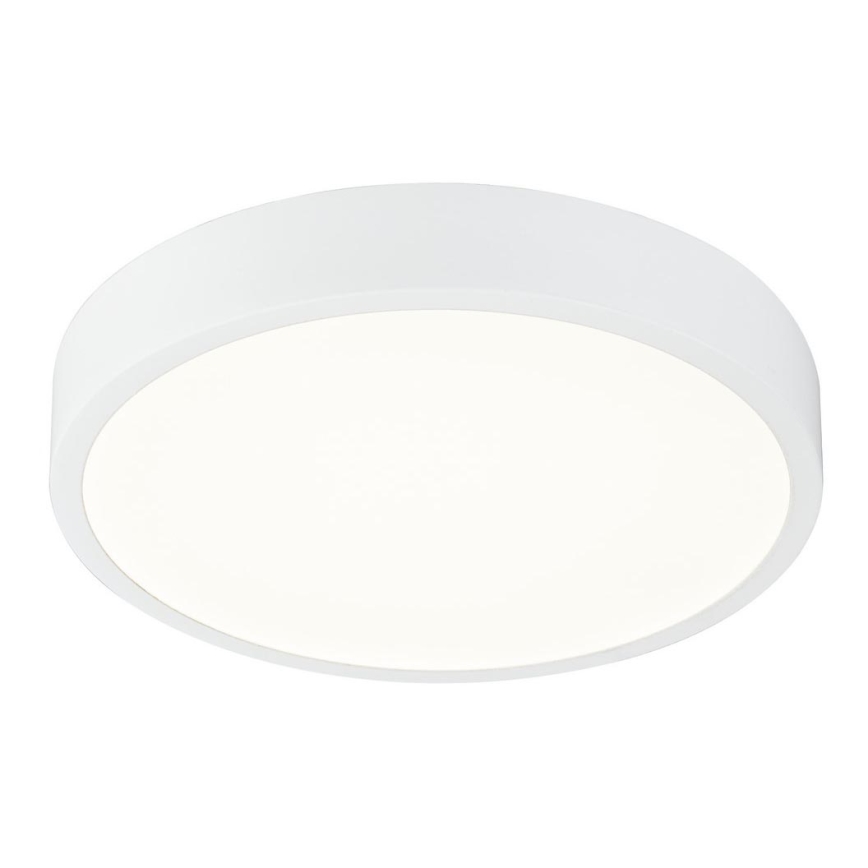 Globo - LED dimbare plafondlamp LED/22W/230V
