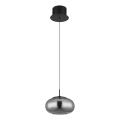 Globo - LED Hanglamp aan een koord LED/6W/230V zwart