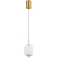 Globo - LED Hanglamp aan een koord LED/7W/230V