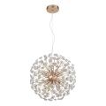 Globo - LED-hanglamp aan kabel 8×G9/3,5W/230V Ø 40 cm goudkleurig