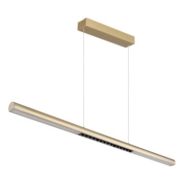 Globo - LED-hanglamp met kabel LED/24W/230V 3000K