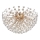 Globo - LED plafondlamp 6xG9/3,5W/230V goudkleurig