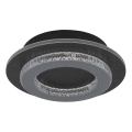 Globo - LED plafondlamp LED/12W/230V 3000/4000/6500K Ø 20 cm antraciet