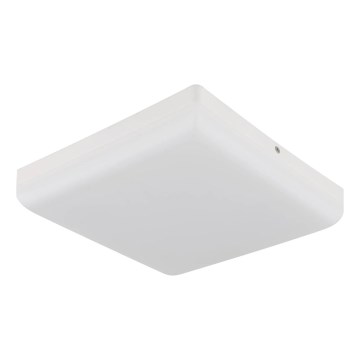 Globo - LED Plafondlamp LED/12W/230V 4000K 22x22 cm wit