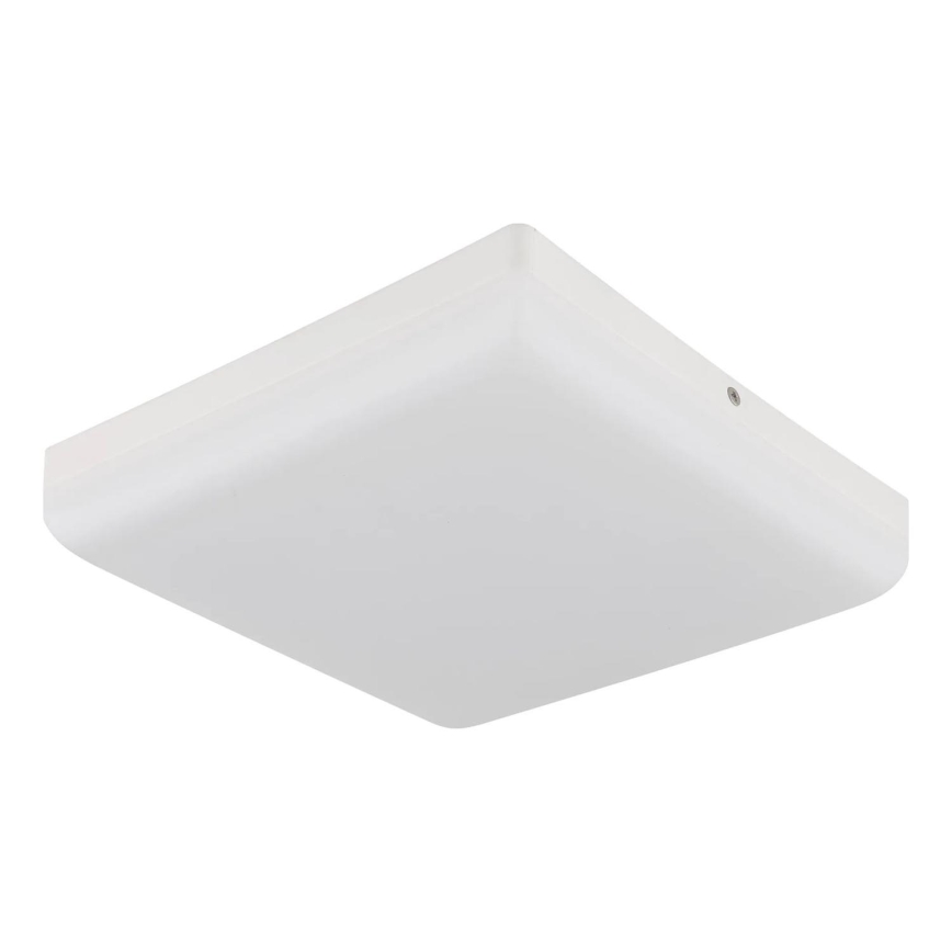 Globo - LED Plafondlamp LED/12W/230V 4000K 22x22 cm wit