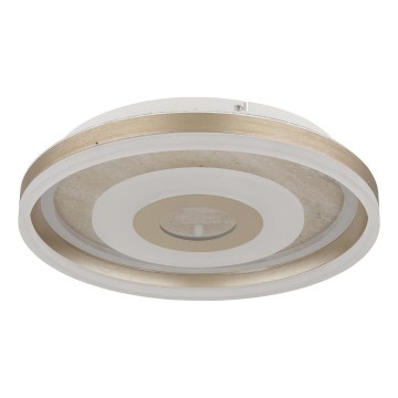 Globo - LED-plafondlamp LED/24W/230V 3000K Ø 40 cm