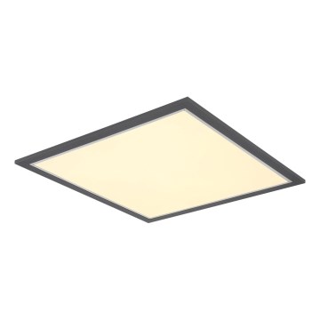 Globo - LED Plafondlamp LED/24W/230V