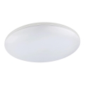 Globo - LED Plafonnier d'extérieur LED/24W/230V IP54