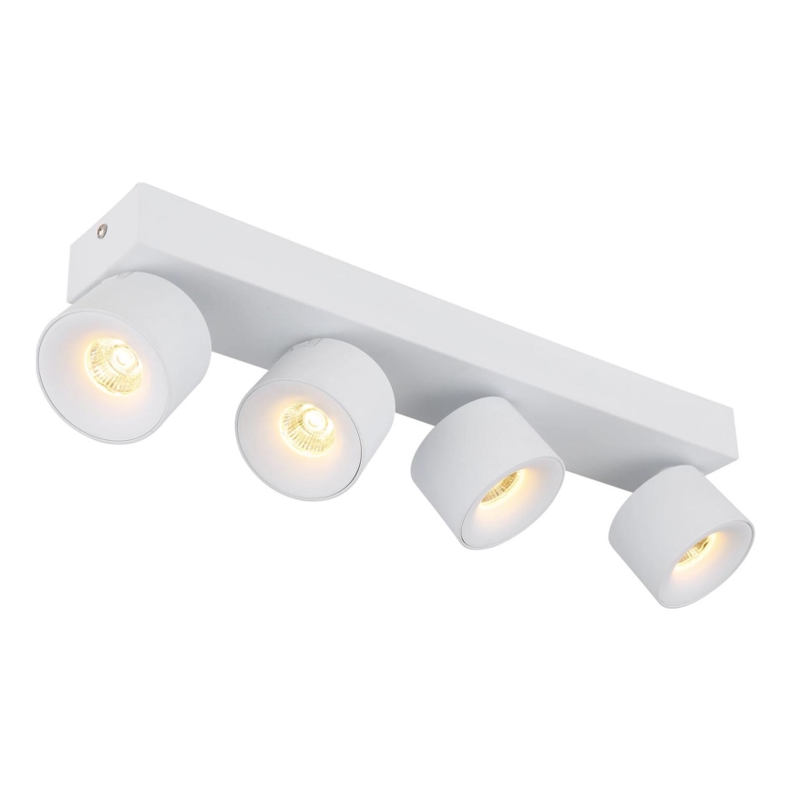 Globo - LED spot 4xLED/6W/230V wit