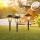 Globo - LOT 3x Lampe solaire 3xLED/1,2V IP44 200 mAh