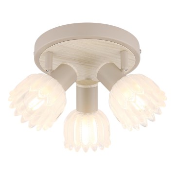 Globo - Luminaire à spots 3xE14/40W/230V