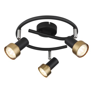 Globo - Spot  3xGU10/25W/230V zwart/goud