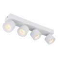 Globo - Spot 4xLED/6W/230V blanc