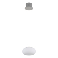 Globo - Suspension filaire LED/6W/230V blanc
