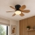 Globo - Ventilateur de plafond LED à intensité variable LED/5W/230V 2700-6500K brun + télécommande