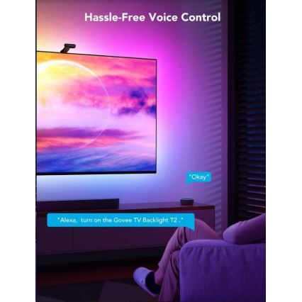 Govee - DreamView T2 DUAL TV 55-65 SMART LED-achtergrondverlichting RGBIC Wi-Fi + afstandsbediening
