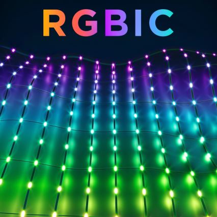 Govee - LED RGBIC buitennetverlichting 143x85cm Wi-Fi Matter IP65