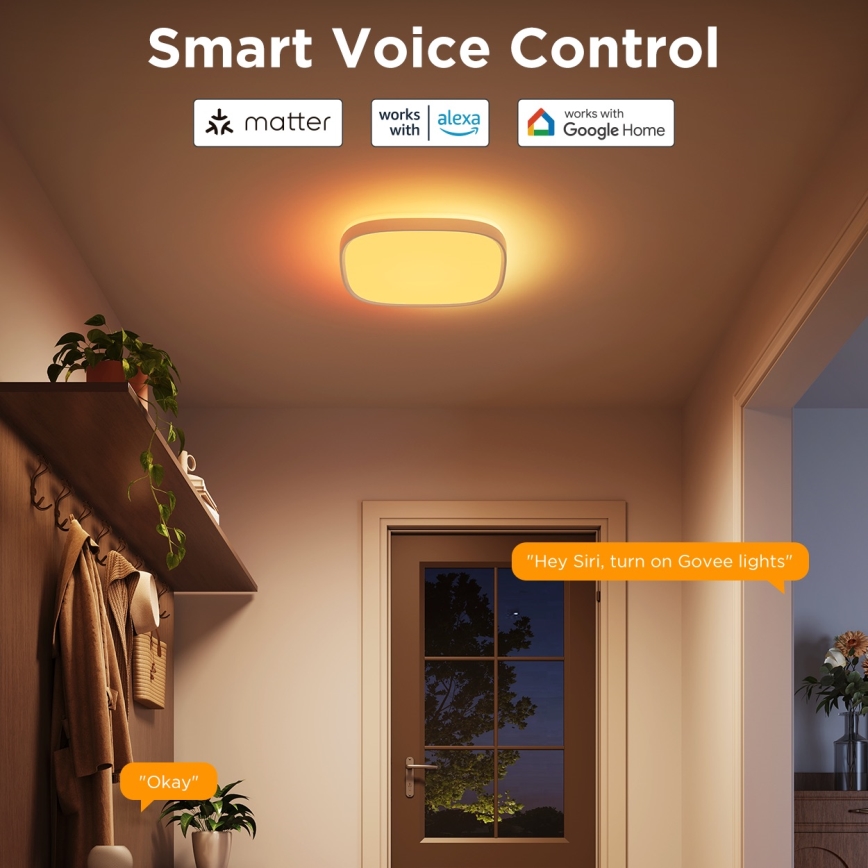 Govee - LED RGBIC Dimbare plafondlamp LED/24W/230V 2700-6500K Wi-Fi