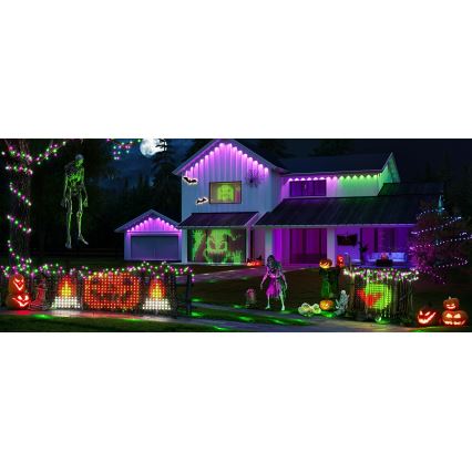 Govee - LED RGBIC Filet d'éclairage extérieur 143x85cm Wi-Fi Matter IP65