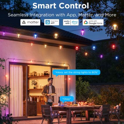 Govee - LED RGBICW Dimbaar buitenshuis Decoratieve lichtsnoer LED/24W/230V IP67 2700-6500K Wi-Fi
