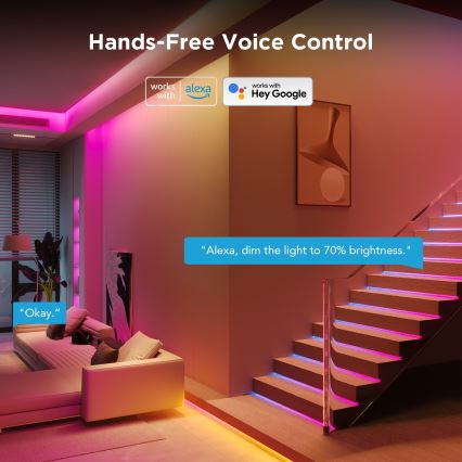 Govee - LED RGBICW dimbare LED-strip SMART PRO LED/12W/24V 3m Wi-Fi
