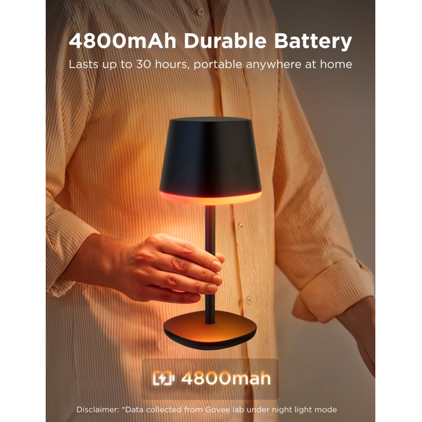 Govee - LED RGBICWW Dimbare tafellamp CLASSIC MATTER LED/10W/5V 4800mAh Wi-Fi